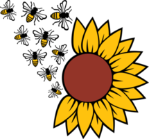 Sonnenblume und Biene png