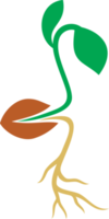 Seed Icon Color png