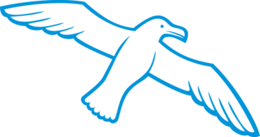 Flying Seagull Color png