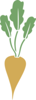 Sugar Beet Color png