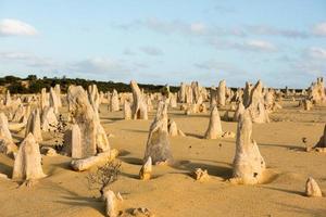 pinnacles park desert view in west australia photo