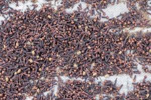 cloves scattered to dry to sun rays in Indonesia photo