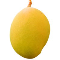 fresh mango fruit png