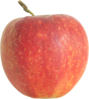 pomme fraîche avec fond blanc png