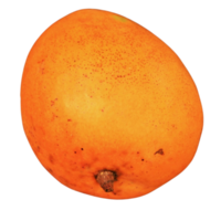 fresh mango fruit png