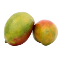 färsk mangofrukt png