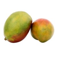 fresh mango fruit png