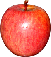 färsk äpple frukt med vit bakgrund png