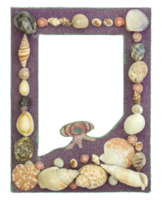 picture frame with seashell isolated with clipping path png