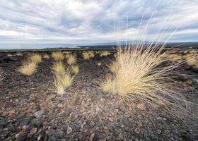 big island hawaii lava and sea photo