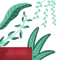 decorative Aesthetic Leaf png