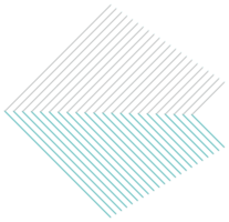 vorm holografische met metaal effect . reeks van etnisch ster, kader, rooster ,cirkel, circulaire, realistisch 3d veroorzaken. abstract vormen verzameling is een trending mengsel van meetkundig vormen png