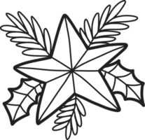 hand gezeichnete weihnachtssterne und blumensträuße illustration png