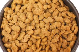 Dry food for dogs or cats in a bowl isolated on a white background. Food is good for animals. photo