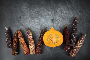 Lots of colorful corn on the cob and half a pumpkin lie next to each other. The background is grey. The pumpkin is cut open. photo