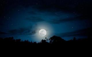 Night landscape with full moon. photo