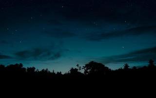 Starry sky at night landscape. photo
