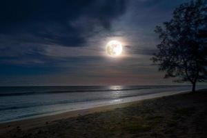luz de la luna en la playa. foto