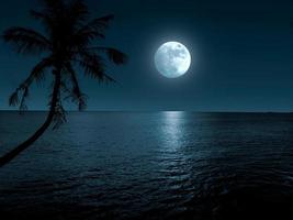 Calm night over ocean photo