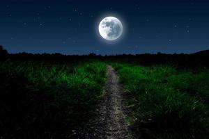 Full moon over grassland with footpath. photo