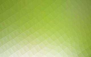 Light Green vector low poly layout.