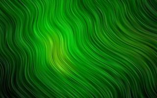 Light Green vector background with bent lines.