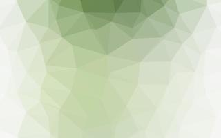 Light Green vector low poly texture.