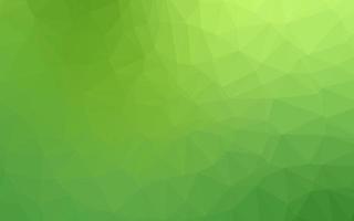 Light Green vector abstract polygonal texture.