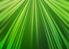 Light Green vector backdrop with long lines.