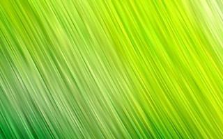 Light Green vector background with abstract lines.