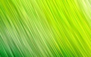 Light Green vector background with abstract lines.