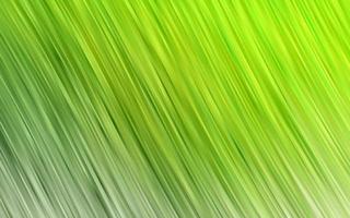 Light Green vector background with curved circles.