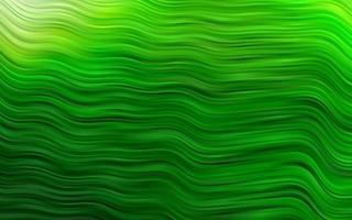 plantilla de vector verde claro con cintas dobladas.