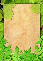 Old paper background with green leaves photo