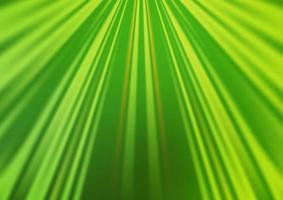 Light Green vector texture with colored lines.