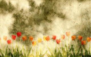 paper background with tulips photo