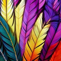 pájaros de hadas de plumas multicolores como fondo foto