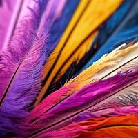 fairy birds of multi-colored feathers as a background photo
