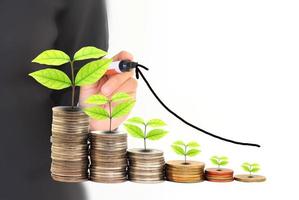 protecting tree growing from pile of coins photo