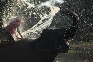 gran elefante bañándose en el río y rociándose con agua, guiado por su manejador foto