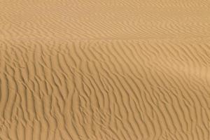detalle abstracto de arena en las dunas