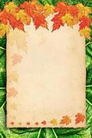 autumn background with colored leaves on old paper photo