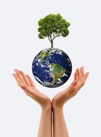 hands, the young sprout and our planet Earth photo