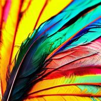 pájaros de hadas de plumas multicolores como fondo foto