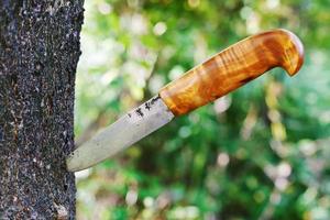 cuchillo clavado en arbol foto