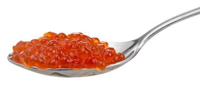 salted Red caviar of Sockeye salmon fish on spoon photo
