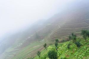 vista de campos de arroz en terrazas en la niebla foto