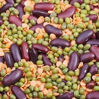 food background from dried beans mixture photo