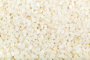 short grains of uncooked white italica rice photo