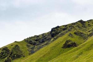 green mountain slope with icelandic sheep photo